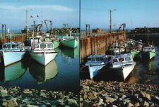 Postcard High Tide/Low Tide Alma Wharf Stranded Lobster Boats On Mud picture