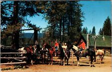 Warm Lake ID-Idaho, Warm Lake Lodge, Horses, Vintage Postcard picture