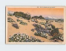 Postcard Wild Flowers on the Desert picture