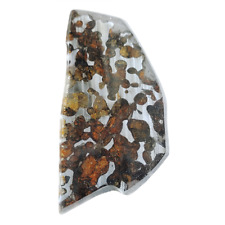 27.3G SERICHO pallasite Meteorite slice - from Kenya TA374 picture