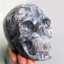 1210g Top Natural Ocean Grass Agate Quartz Skull Carved Crystal Skull Reiki.W283 picture