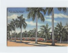 Postcard Las Olas Boulevard Fort Lauderdale Florida USA picture