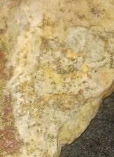 490.447 Grams Rare Arizona Fine Gold Ore Natural Vein Lode Gold 2% Gold Estimate picture