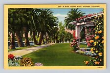 CA-California, Palm Shaded Walk, Antique, Vintage Card Souvenir History Postcard picture