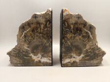 Petrified Wood Bookends Polished Rock 5 inch Fossilized Arizona Conifer #O2 picture