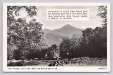 Postcard Mt Pisgah Feet Western North Carolina picture