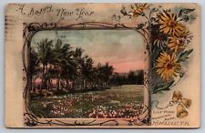 Lily Pond Kapiʻolani Park Honolulu Hawaii Happy New Year Flowers Bells 1912 PC picture