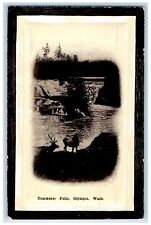 c1910's Tumwater Falls Olympia Washington WA, Waterfalls Deer Antique Postcard picture