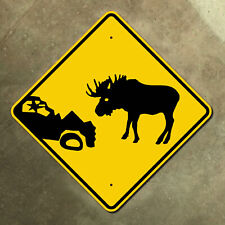 Newfoundland Canada moose warning wrecked car highway marker road sign 16x16 picture