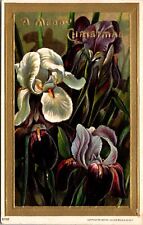 1907 A Merry Christmas Irises Embossed Vintage Postcard picture