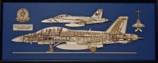 VFA-103 Jolly Rogers  F/A-18F Super Hornet Hornet wood Model picture