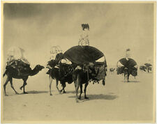 Photo Analogue Nomad Touareg Maghreb to The 1910 picture