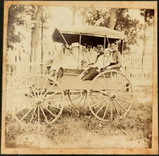 Antique Boarded Photo Candid Outdoor Family Group Buggy Wagon Children Adults picture
