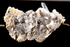 Himalayan  white  cluster  with green chlorite   holds sacred energy #6215 picture
