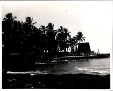 LG35 1982 Original Photo CITY OF REFUGE TEMPLE TIKI GODS KONA COAST IN HAWAII picture