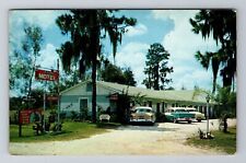 Zephyrhills FL-Florida, Siesta Motel, Advertising, Antique Vintage Postcard picture