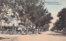 Carlsbad NM New Mexico Eddy County Early 1900s Hand Colored Vtg Postcard A39 picture