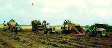 Harvesting Peanuts In The Deep South Dotham Alabama Vintage Postcard Un-posted picture
