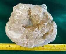 Fossil Calcite Clams with bright Dog Teeth pointed calcite picture