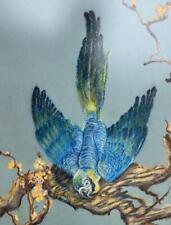 MCM Pastel Drawing Painting Tropical Blue Macaw Parrot Bird by Blanche Simpson picture