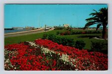 Clearwater FL-Florida, Between Exit and West Bridge Causeway, Vintage Postcard picture