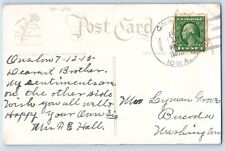 DPO Onslow Iowa IA Postcard Birthday Message Daisy Flowers Field Scene 1912 picture