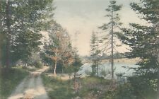 STAMFORD NY – Churchill Woody Drive – Catskill Mountains – Hand Colored Postcard picture