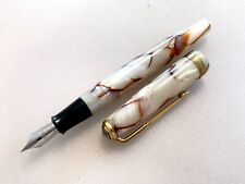 Japanese  vintage  fountain pen  with new sac from Japan picture