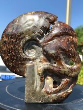 560g Natural Ammonite Fossil Hand Carved Tentacle Specimens Healing 3A293 picture