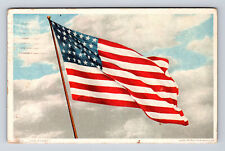 1917 Old Glory American Flag Buffalo NY PHOSTINT Detroit Publishing Postcard picture