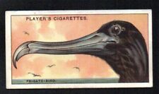 FRIGATE BIRD 1929 JOHN PLAYER CIGARETTES CURIOUS BEAKS #15 EXCELLENT NO CREASES picture