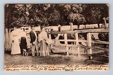 Jacksonville FL-Florida, Ostrich Farm, Vintage c1907 Postcard picture