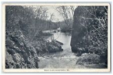 c1910s Trout Glen Hahantonka Camden County Missouri MO Unposted Vintage Postcard picture