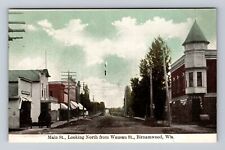 Birnamwood WI-Wisconsin, Main St Looking North From Wausau Vintage Postcard picture