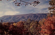 Salt Pond Mountain Virginia Giles County fall foliage view vintage postcard picture
