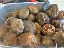 ROCK DADDY SPECIAL- 2 Pounds of Botswana Agate Nodules. Rough Full Skin Nodules picture
