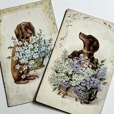 Antique Embossed Postcard Beautiful Set Dachshund Weiner Dog Flowers Germany picture