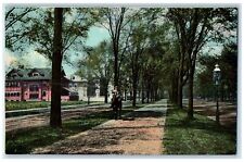 c1950's Lincoln Parkway Dirt Road Lined Trees Riding Horse Buffalo NY Postcard picture