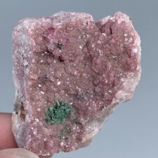 Malachite On Pink Cobalt Calcite Crystal Druzy  Tantara Mine CONGO 14.5g picture