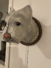 Paper Mache TERRIER - Dog Head Wall Mount Vintage Framed Art  Faux Taxidermy picture