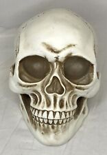 READAEER 1:1 Human Size Skull Model Realistic picture