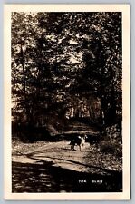 The Glen. Dirt Road & Dog. Vermont Real Photo Postcard RPPC picture
