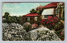 CA-California, California Bungalow In Winter, Scenic Greeting, Vintage Postcard picture