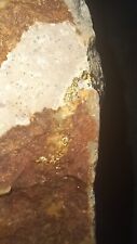 771.107 Grams High Grade Gold Ore Beautiful Siltstone  Estimated 1.10% Gold picture