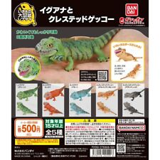 The Big Book of Livestock Repti Iguana and Crested Geckos Total 5 kinds BANDAI picture
