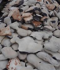 3+ Pounds Of High Quality Georgetown Flint ( Whole Rock ) Flint Knapping picture