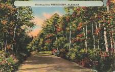 c1930s-40s Linen Country Road Greetings From Phenix City Alabama AL P526 picture