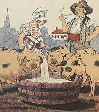 Rare Large Antique Vintage 🐖 1910s Normandine Pig 💊 Medicine Box, Farm Decor picture
