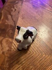 Black And White Cow Small Laying Cow. picture