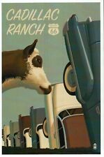 Cadillac Ranch, Route 66, Amarillo Texas, Cow, Travel, Road Americana - Postcard picture